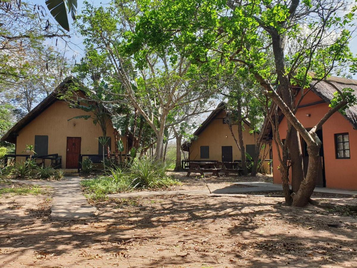 Pumusa Bushcamp Хлухлуве Экстерьер фото